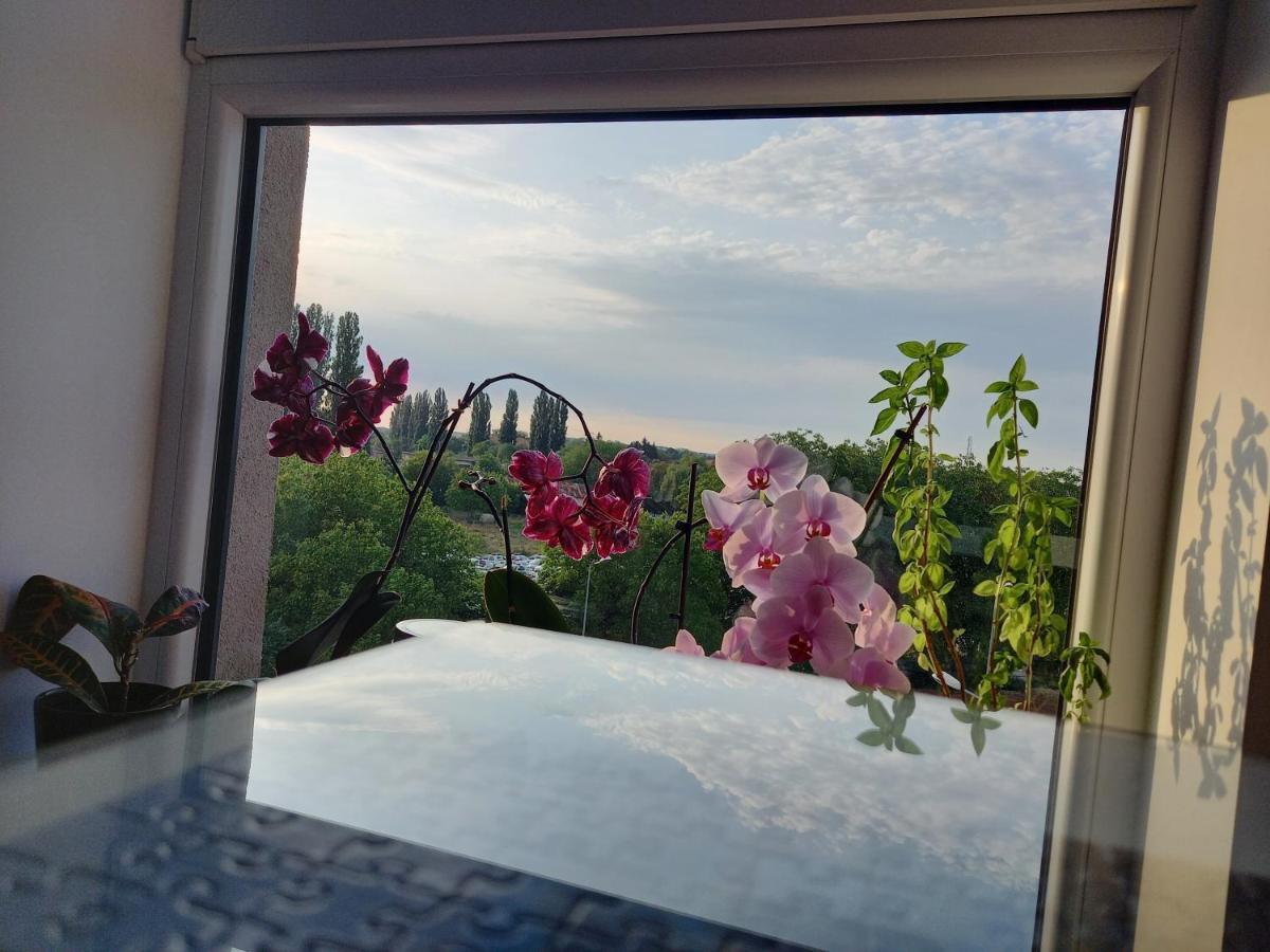 Lavanda Apartment Oradea Zewnętrze zdjęcie